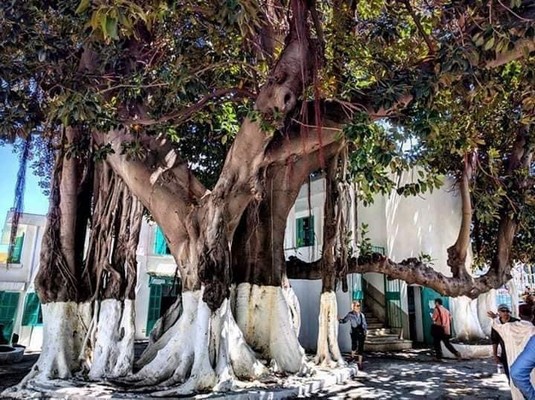 حديقة المندوبية طنجة