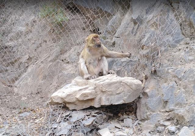 الحديقة الوطنية الشريعة الجزائر