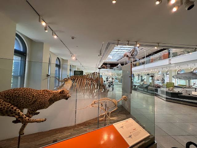 متحف التاريخ الطبيعي لوس انجلوس
