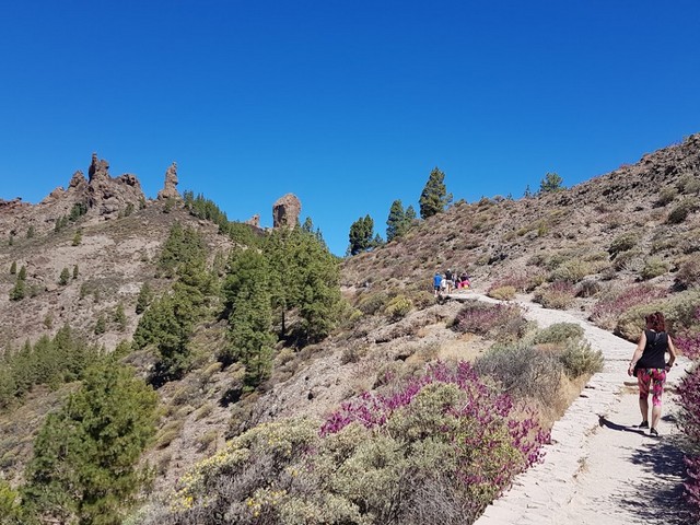 جبل روك نوبلو في جزر الكناري