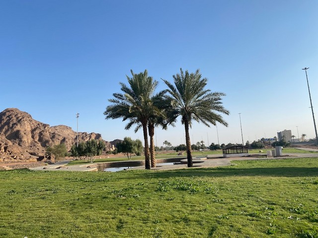 حدائق حائل