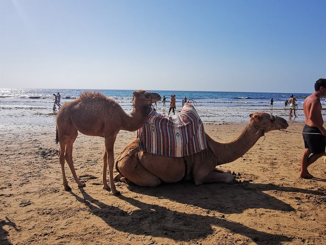 شاطئ با قاسم طنجة